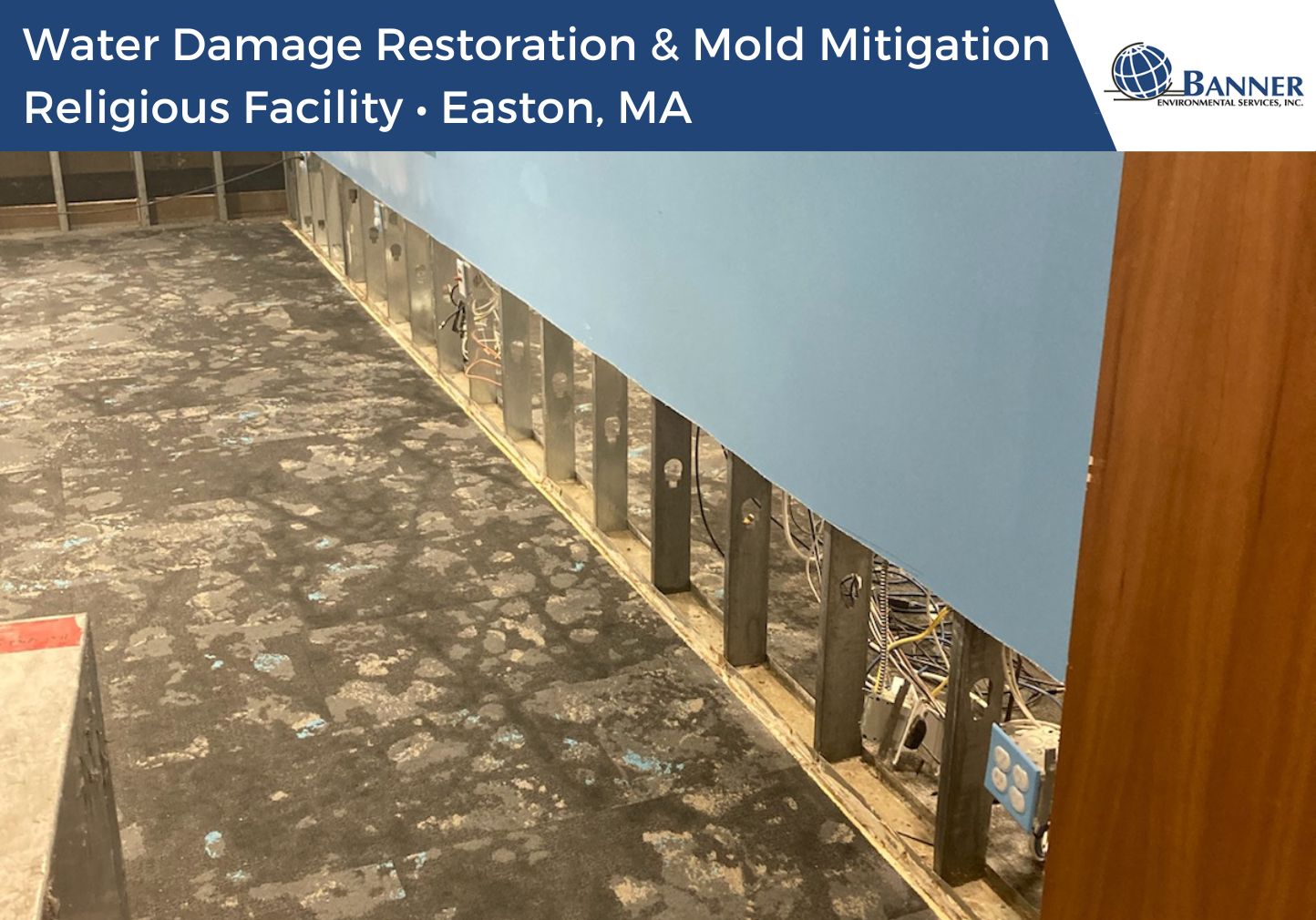 Mold Remediation In RI - What To Know