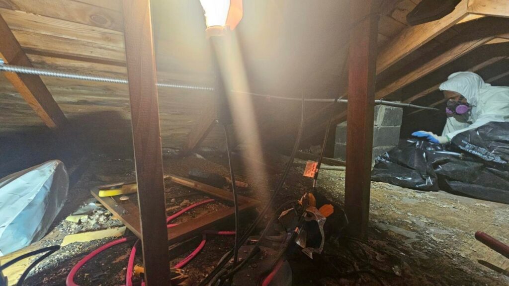 asbeastos abatement attic oxford ma 4 Asbestos Abatement in Oxford, MA: Ensuring Safety and Excellence