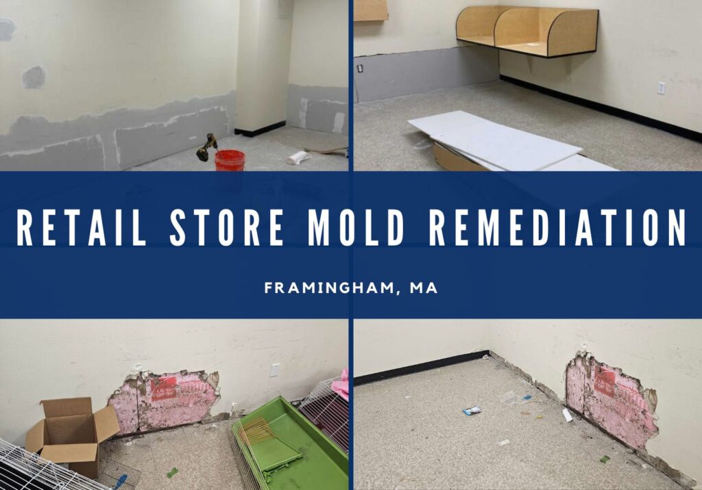 mold remediation from water damage retail store framingham ma