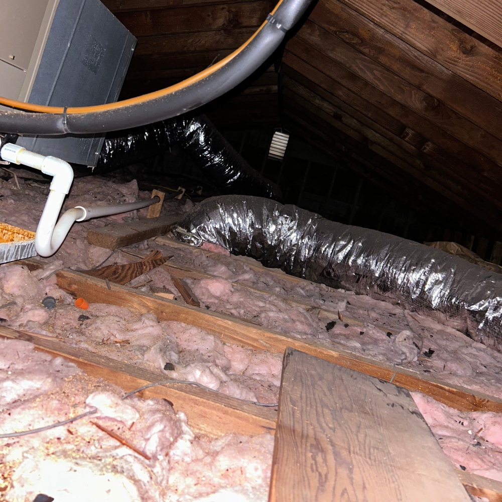 residential attic vermiculite asbestos insulation removal and abatement rhode island