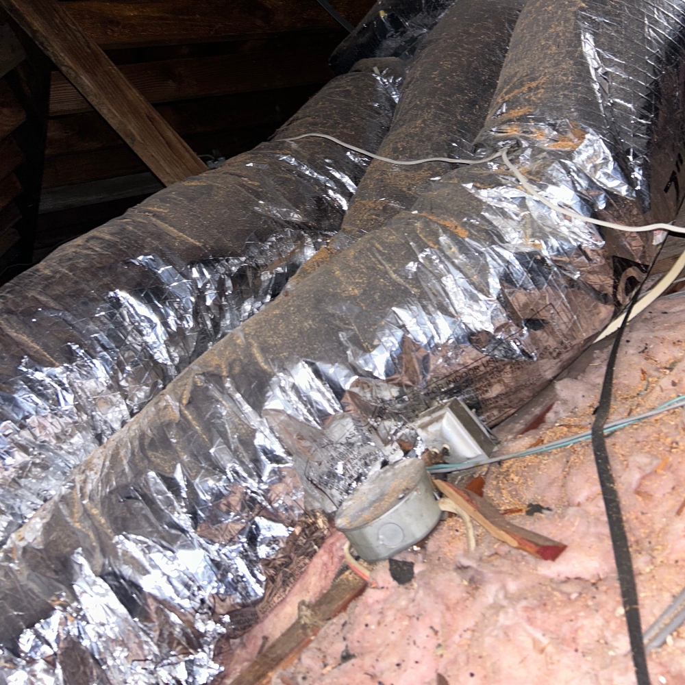 residential attic vermiculite asbestos insulation removal and abatement rhode island