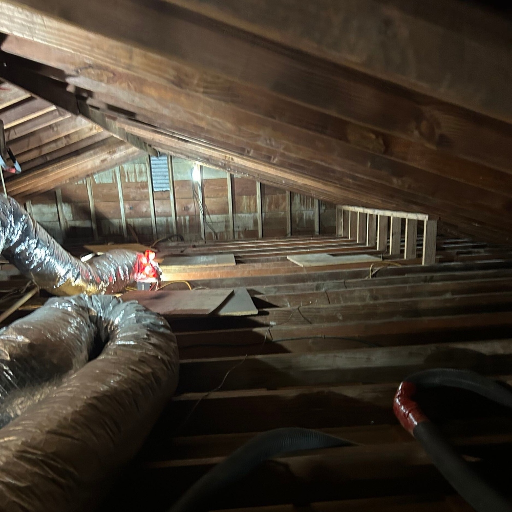 residential attic vermiculite asbestos insulation removal and abatement rhode island